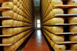 Export lattiero -caseario italiano: un successi in Cina