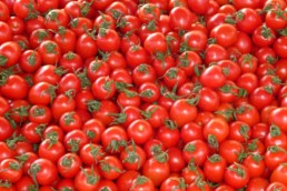 Export Made in Italy ortofrutta